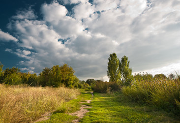 Similar image 1675164