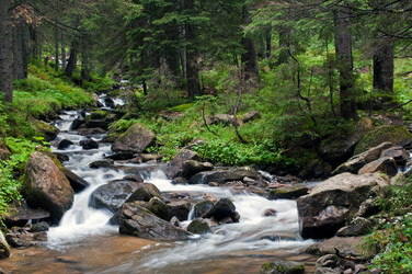 Similar image 1675170