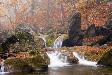 Similar image 1675171