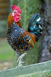 Similar image 1675172