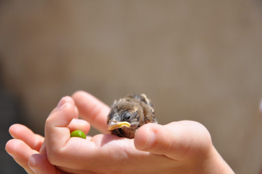 Similar image 1675192