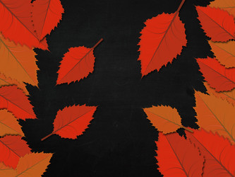 Similar image 1675258