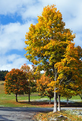 Similar image 1675304