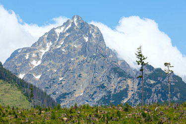 Similar image 1675307