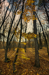 Similar image 1675322