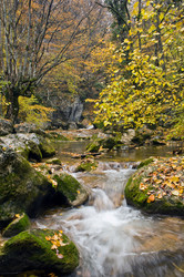 Similar image 1675324