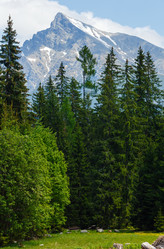 Similar image 1675327