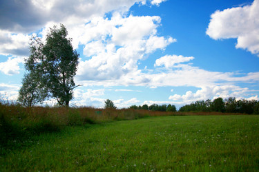 Similar image 1675341