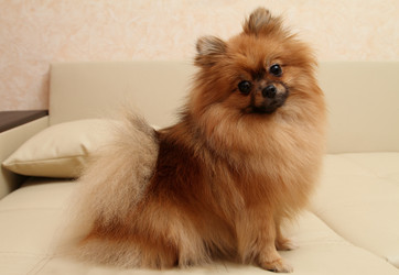 Similar image 1675357