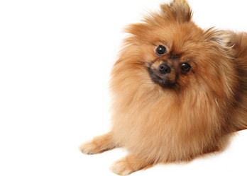 Similar image 1675358