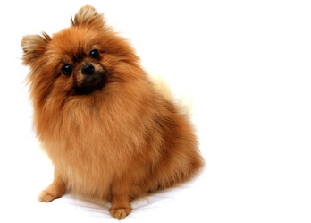 Similar image 1675360