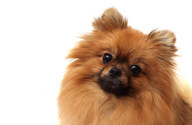 Similar image 1675361