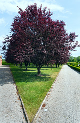 Similar image 1675384