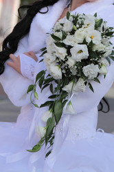 Similar image 1675407