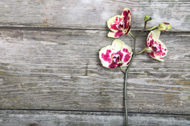 Similar image 1675443