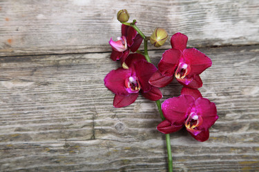 Similar image 1675444