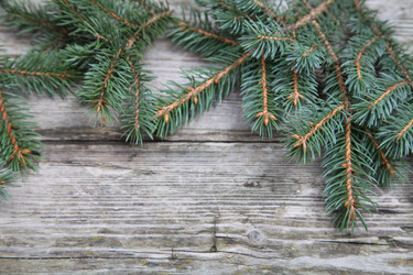 Similar image 1675446