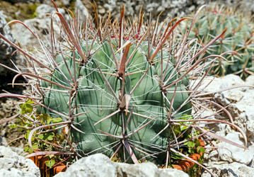 Similar image 1675458