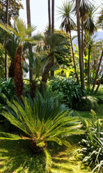 Similar image 1675459