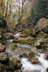 Similar image 1675472