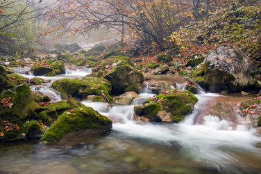 Similar image 1675473