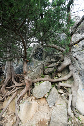 Similar image 1675543