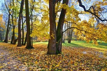 Similar image 1675845