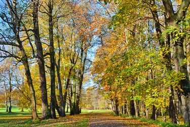 Similar image 1675846