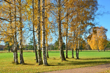 Similar image 1675849