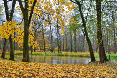 Similar image 1675896