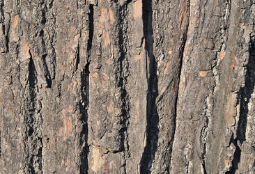 Similar image 1675991