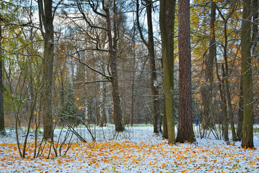 Similar image 1676050