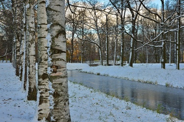 Similar image 1676054