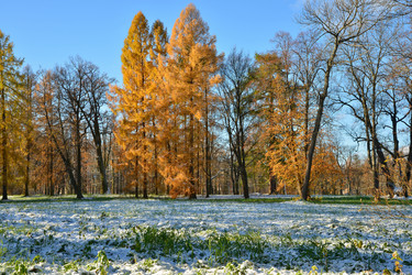 Similar image 1676172