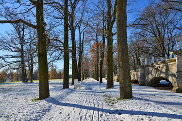 Similar image 1676195