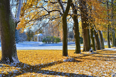 Similar image 1676196