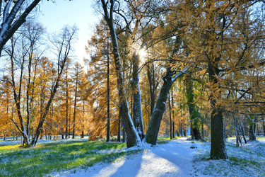 Similar image 1676199