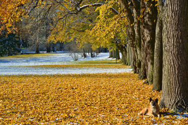 Similar image 1676200