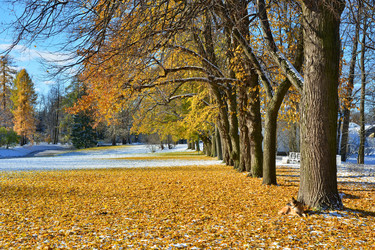 Similar image 1676201