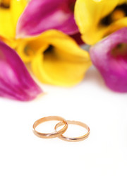 Similar image 1676447