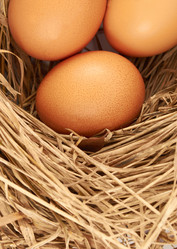 Similar image 1676480