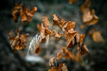 Similar image 1676493