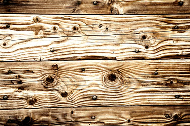 Similar image 1676502