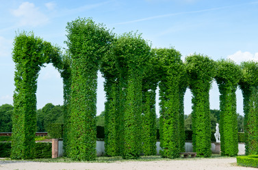 Similar image 1676541