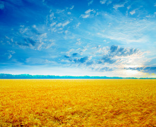 Similar image 1676669