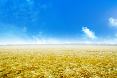 Similar image 1676696