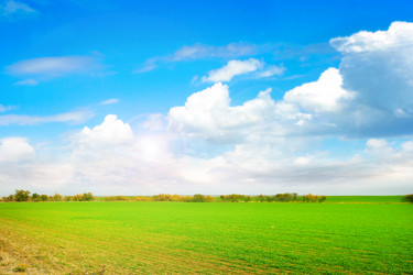 Similar image 1676699