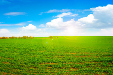 Similar image 1676700