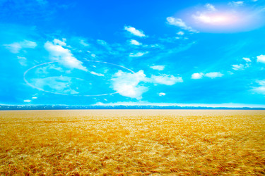 Similar image 1676702