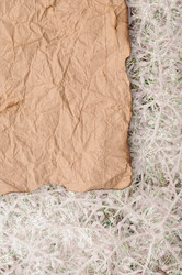 Similar image 1676748